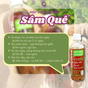 MẬT ONG LÊN MEN SÂM QUẾ